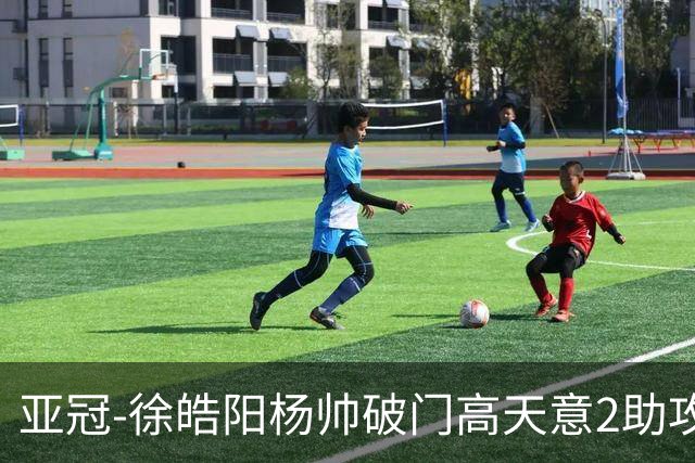 亚冠-徐皓阳杨帅破门高天意2助攻 申花2-1淡滨尼流浪者